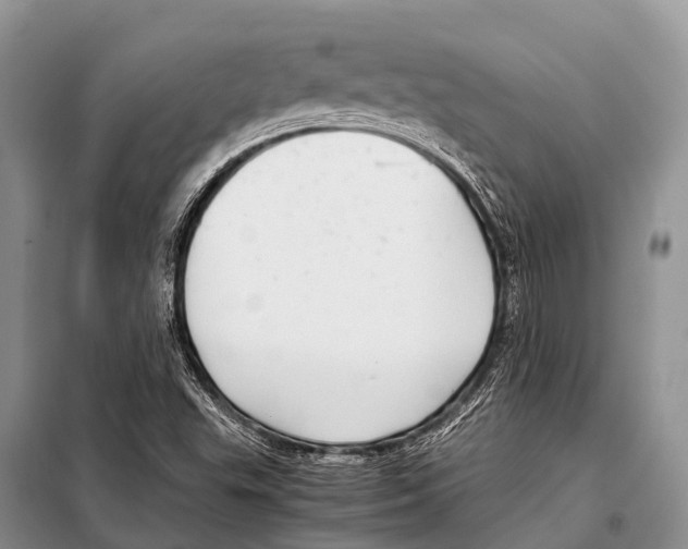 X0000098121503200805021144