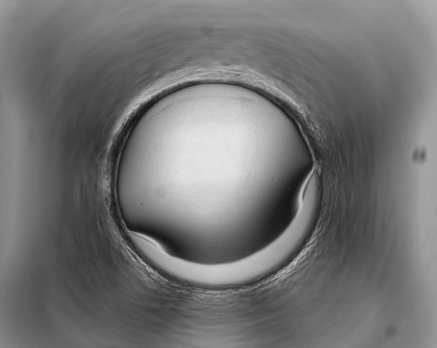 X0000098121506200805021144