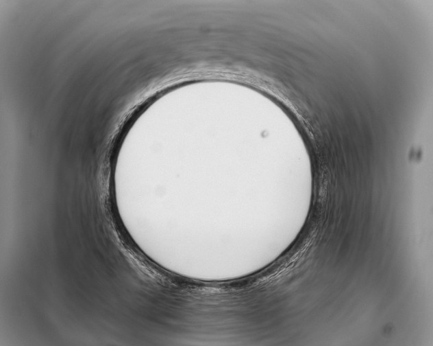X0000098121507200805021144