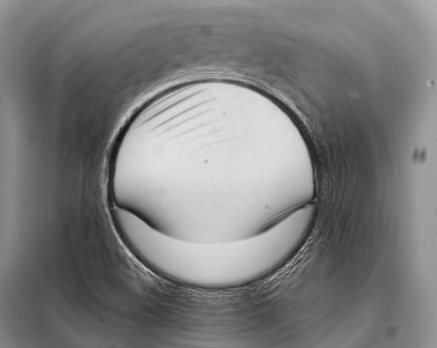 X0000098121508200805021144