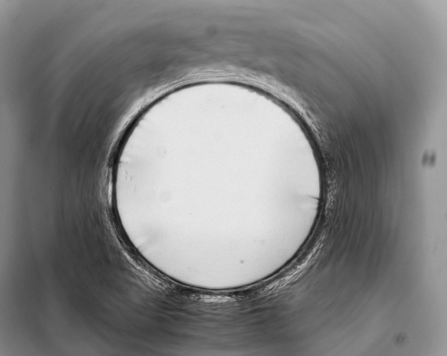 X0000098121509200805021144