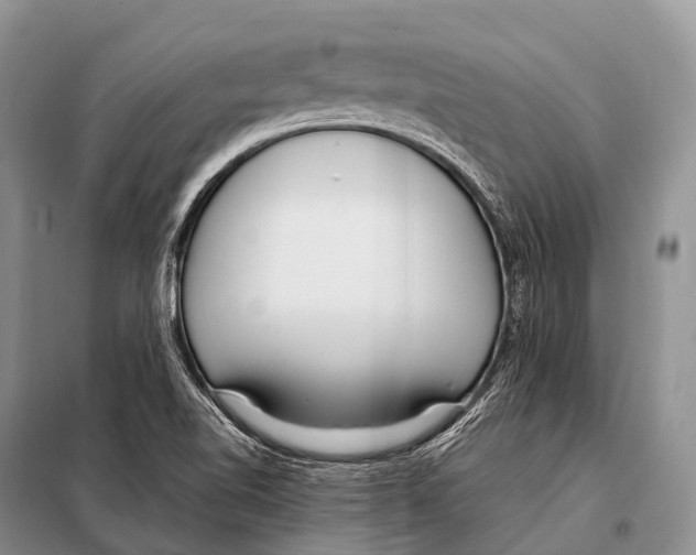 X0000098121510200805021144
