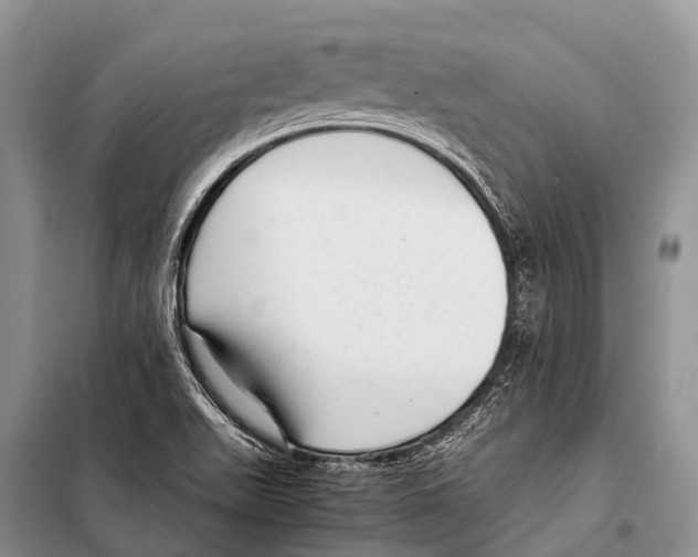 X0000098121511200805021144