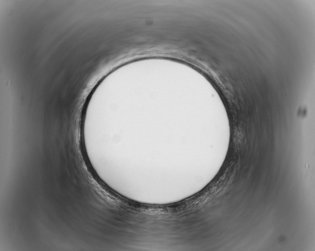 X0000098121512200805021144