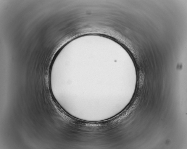 X0000098121513200805021144