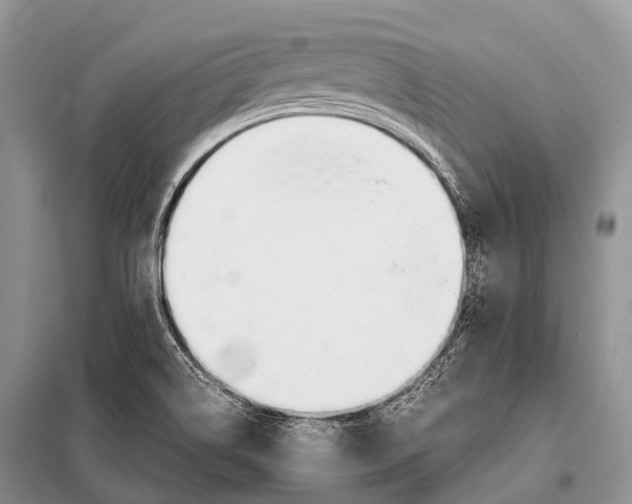 X0000098121514200805021144