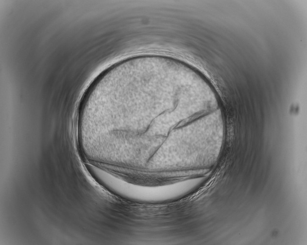 X0000098121515200805021144