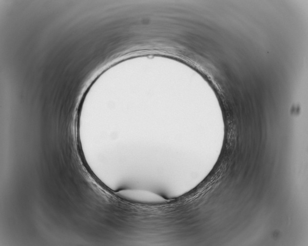 X0000098121516200805021144