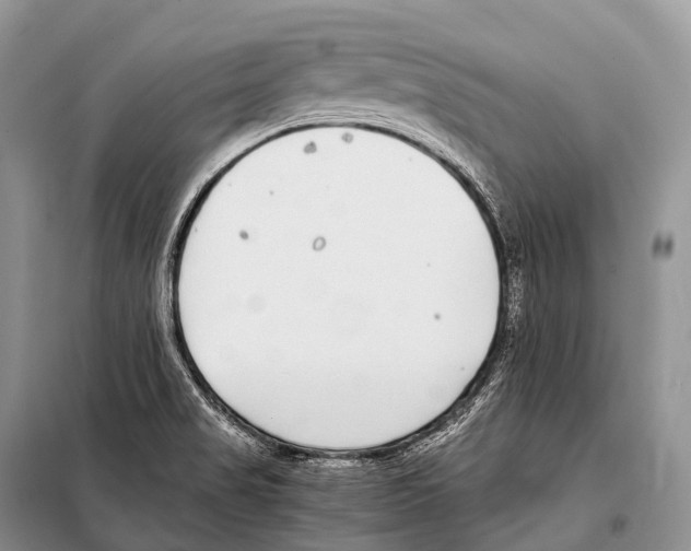 X0000098121517200805021144