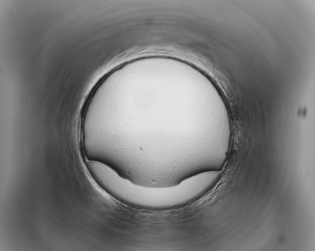 X0000098121519200805021144
