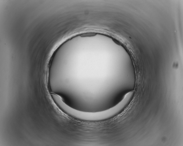 X0000098121520200805021144