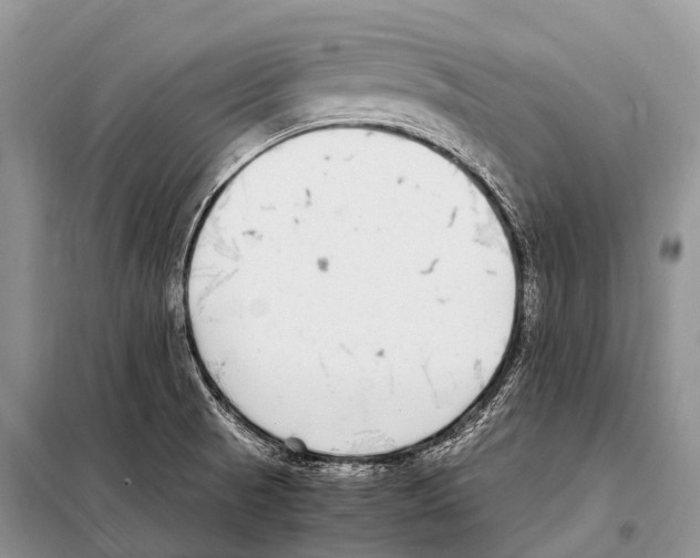 X0000098121521200805021144