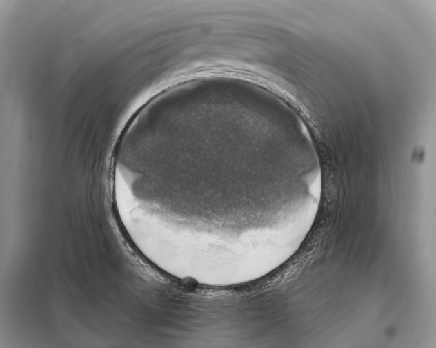 X0000098121522200805021144