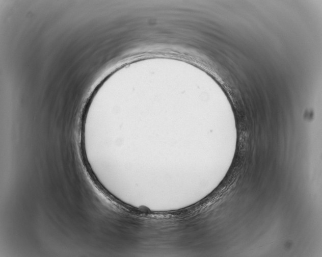 X0000098121523200805021144