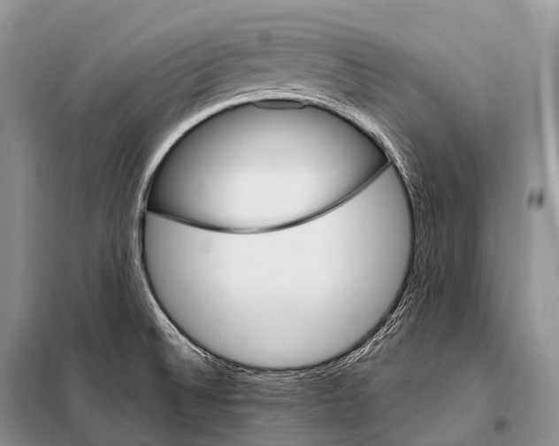 X0000098121524200805021144