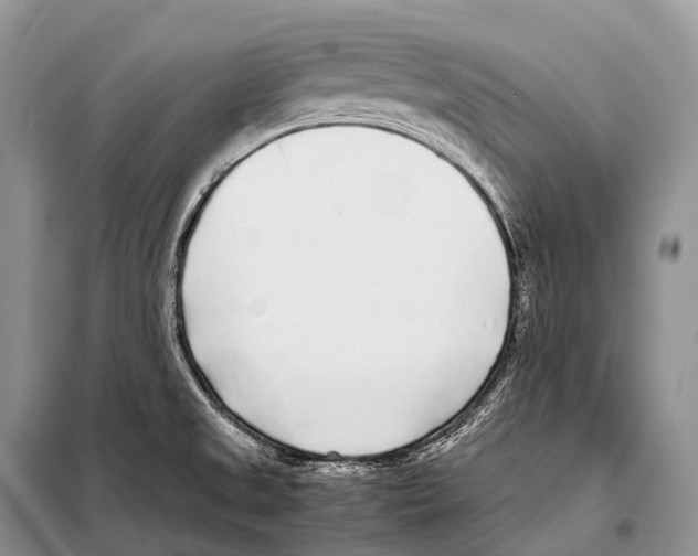X0000098121525200805021144