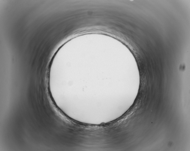 X0000098121526200805021144