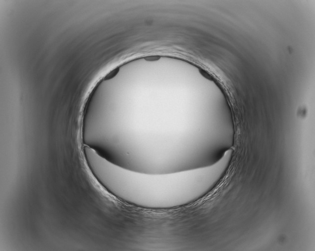 X0000098121528200805021144