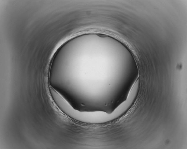 X0000098121530200805021144