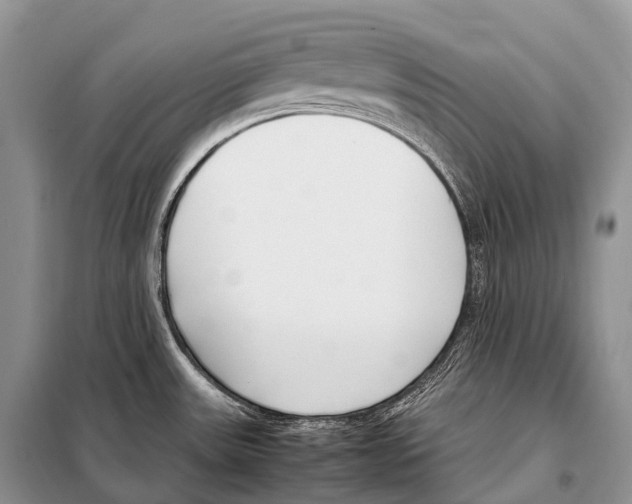 X0000098121531200805021144
