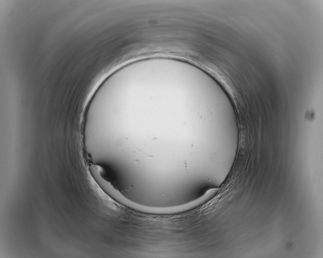X0000098121532200805021144