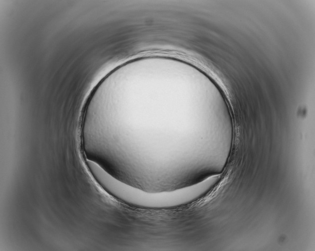 X0000098121533200805021144