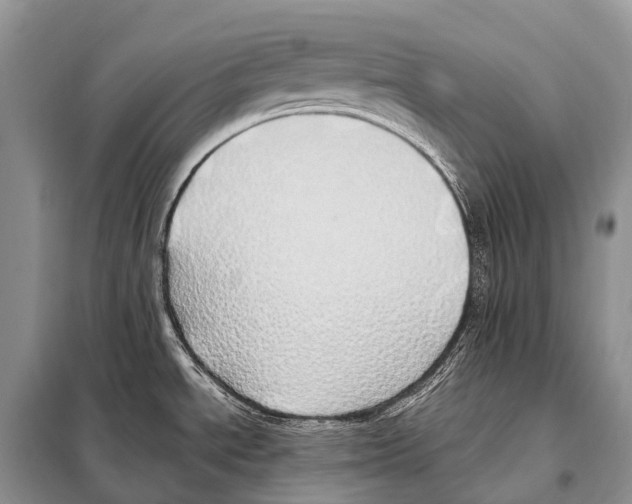 X0000098121534200805021144
