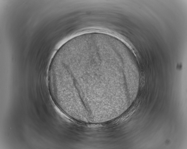 X0000098121535200805021144