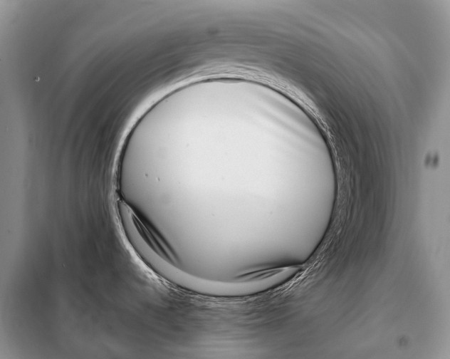 X0000098121536200805021144