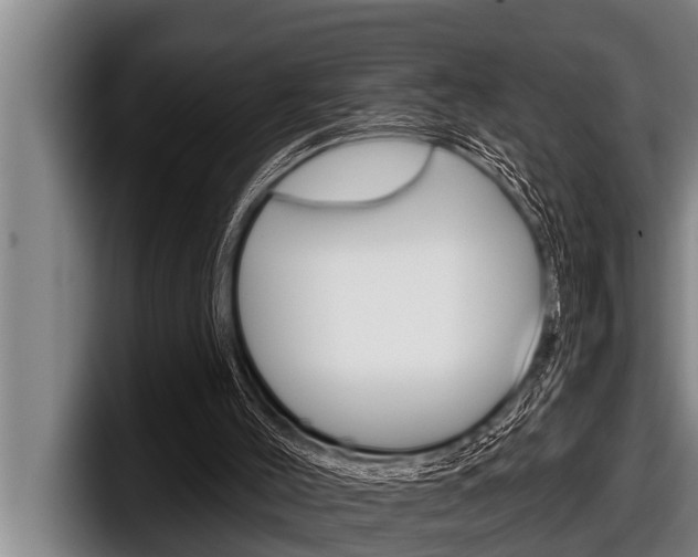 X0000098130004200804171109