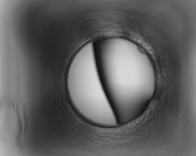 X0000098130009200804171108