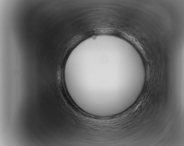 X0000098130010200804171108