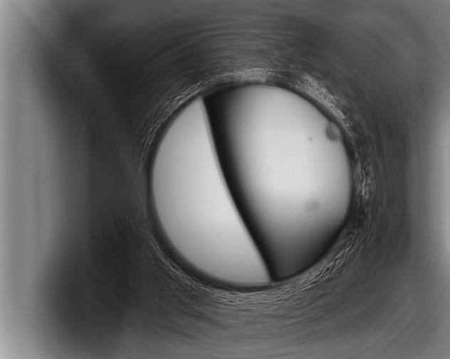 X0000098130013200804171108
