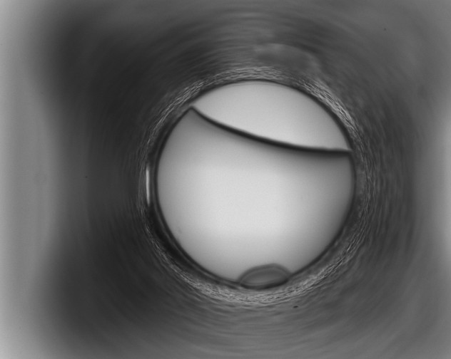 X0000098130014200804171108