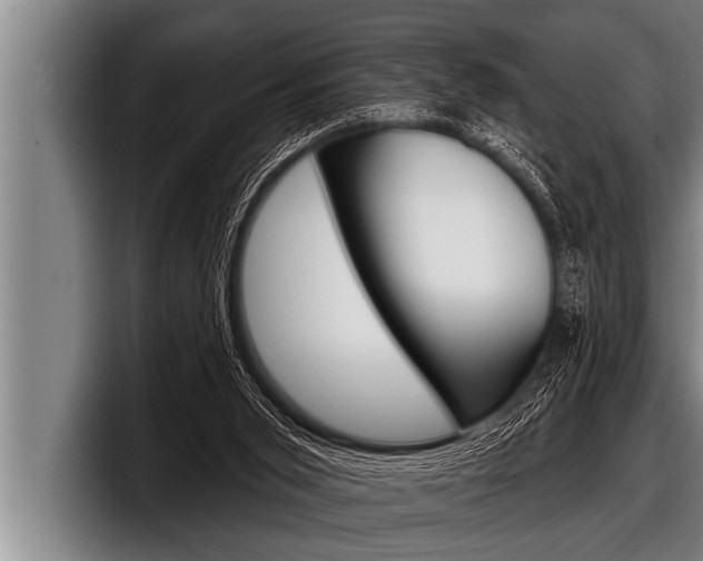 X0000098130015200804171108
