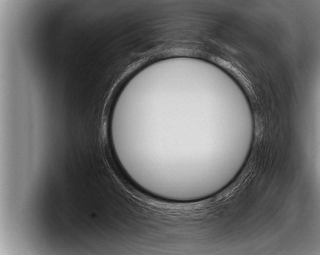 X0000098130016200804171108