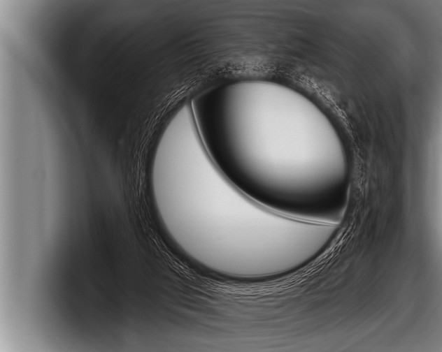 X0000098130017200804171108