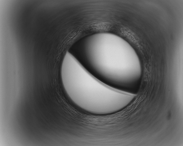X0000098130021200804171108
