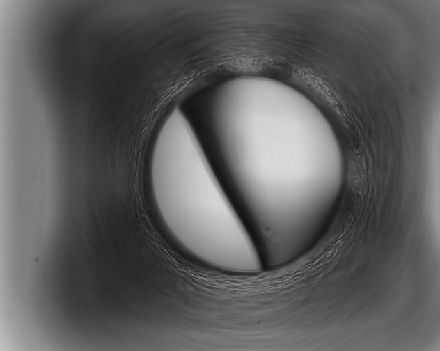 X0000098130023200804171108