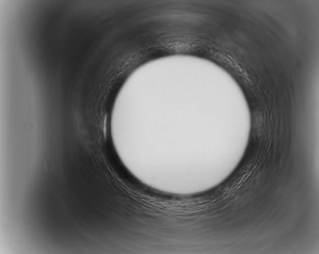 X0000098130024200804171108
