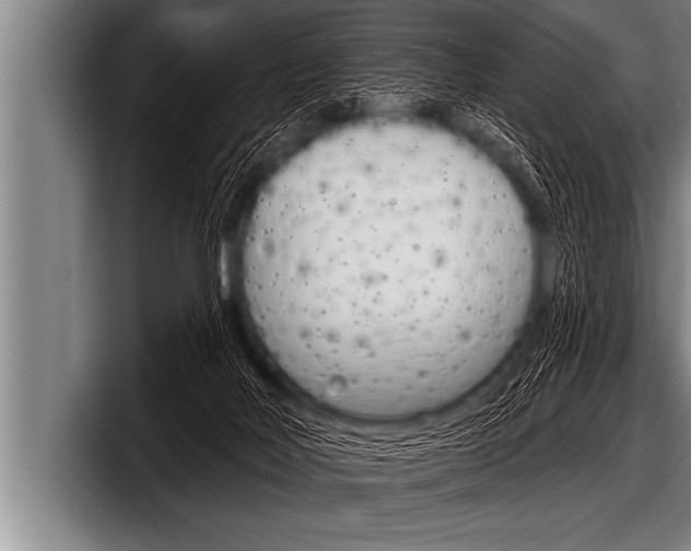 X0000098130026200804171108
