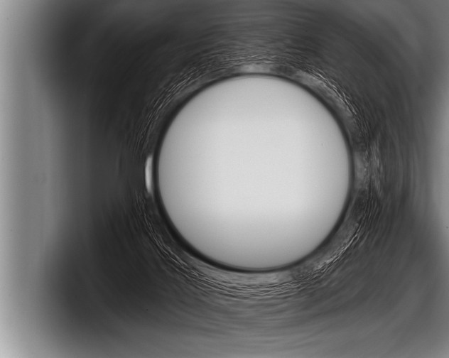 X0000098130028200804171108