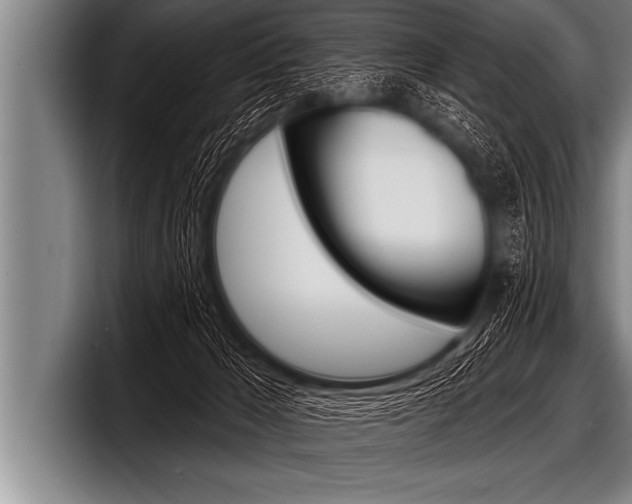 X0000098130029200804171108