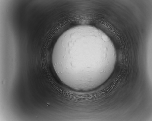 X0000098130030200804171108