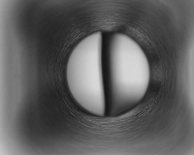 X0000098130031200804171108