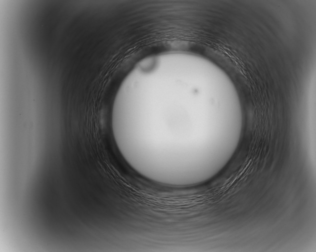 X0000098130032200804171108