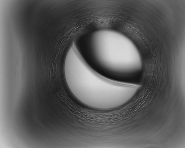 X0000098130035200804171108