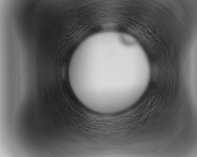 X0000098130038200804171108