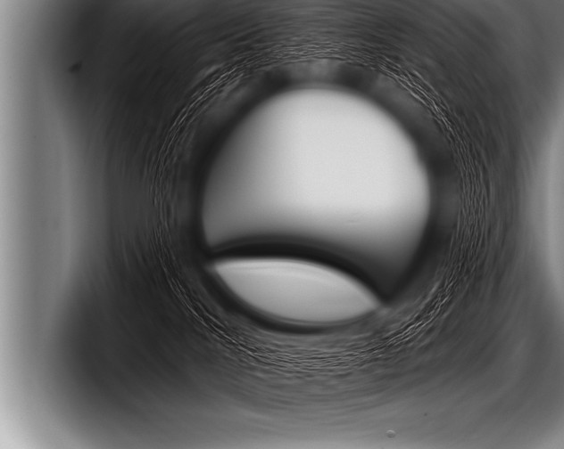 X0000098130040200804171108