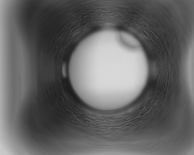 X0000098130042200804171108